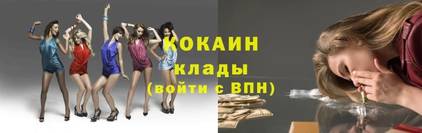 стаф Алзамай