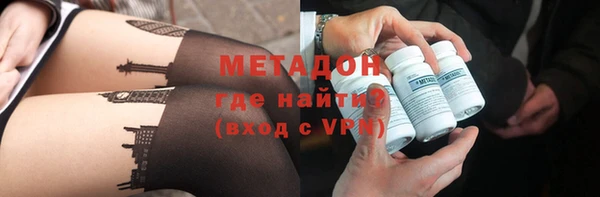 стаф Алзамай