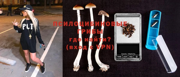 дмт Алексеевка